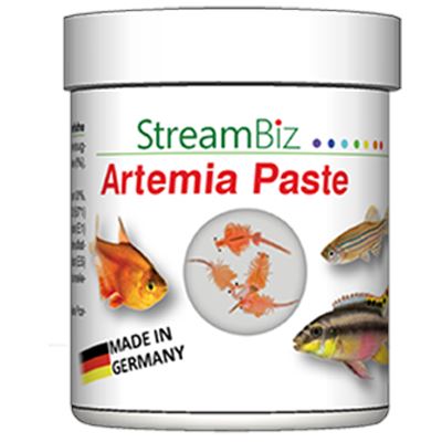 StreamBiz Artemie pasta 70g