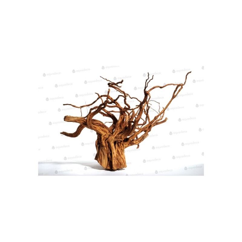 Red moor wood - kořen velký