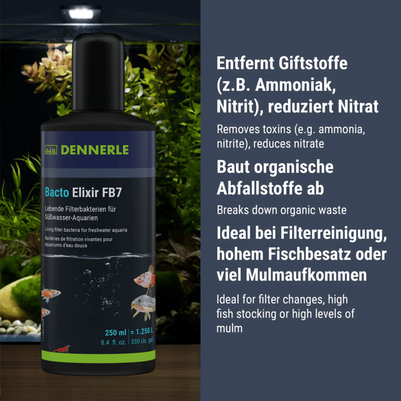 DENNERLE Bacto Elixier FB7 250ml - 1250 l