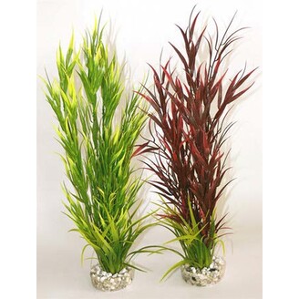 Rostlina Wild Mountain 39 cm