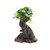 Dennerle Bonsai S s Anubias nana 14 x 8 x 25 cm*