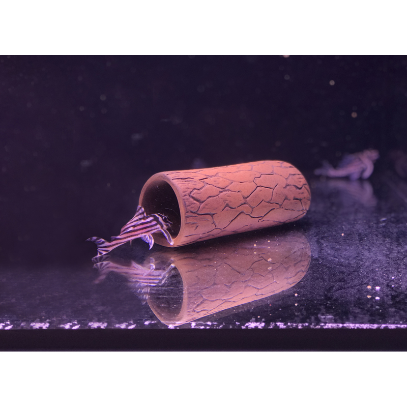 Pleco cave M