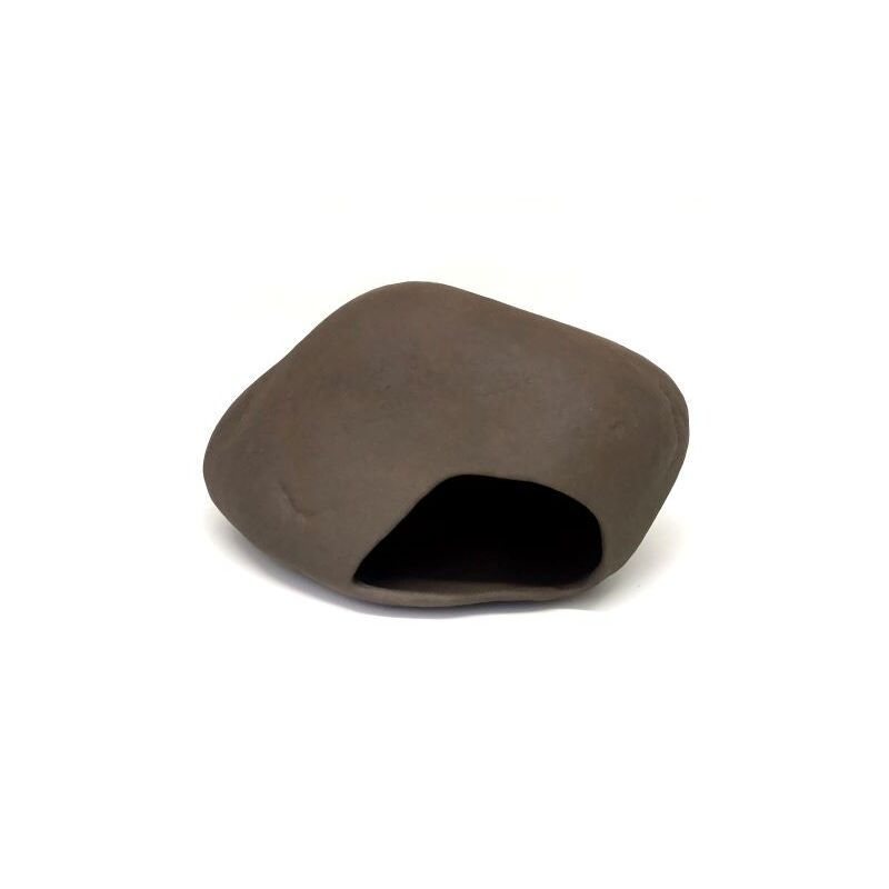 Cichlid stone M
