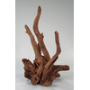 Kořen Corbo S 30-40 cm