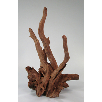 Kořen Corbo S 30-40 cm