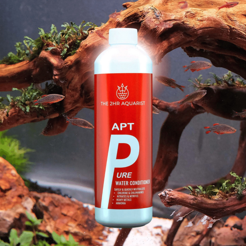 2Hr APTp Pure 300 ml