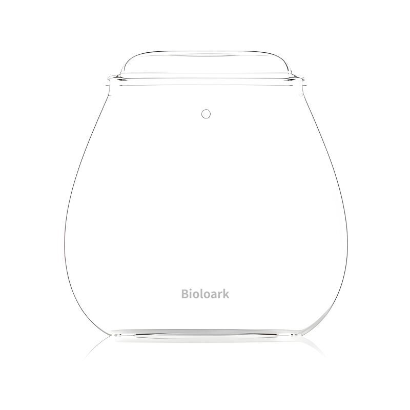 Bubble Cup FOUR