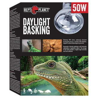 Žárovka REPTI PLANET Daylight Basking Spot 50W