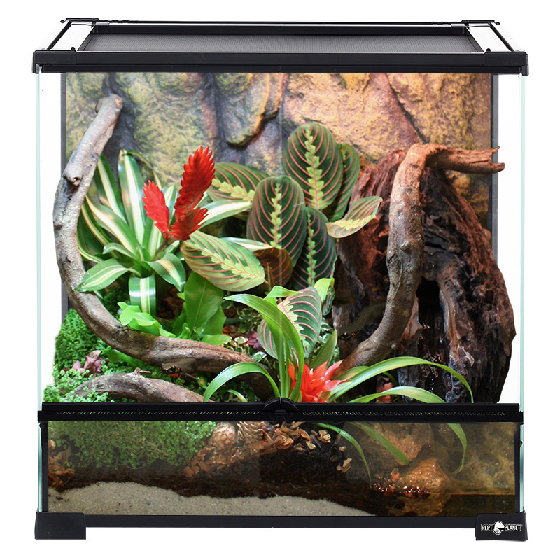 Terárium REPTI PLANET 60 x 45 x 60 cm