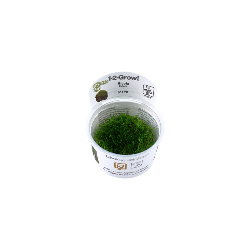 Tropica Riccia fluitans 1-2 Grow!