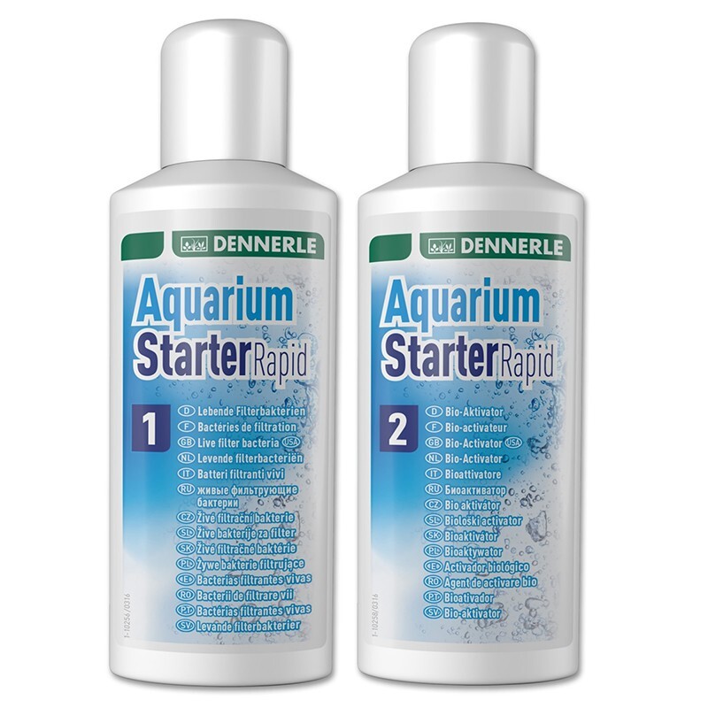 DENNERLE Starter Rapid 2x 100 ml