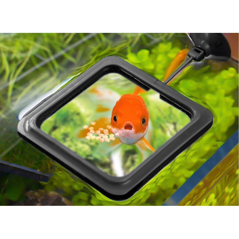 Hladinové krmítko čtverec s přísavkou