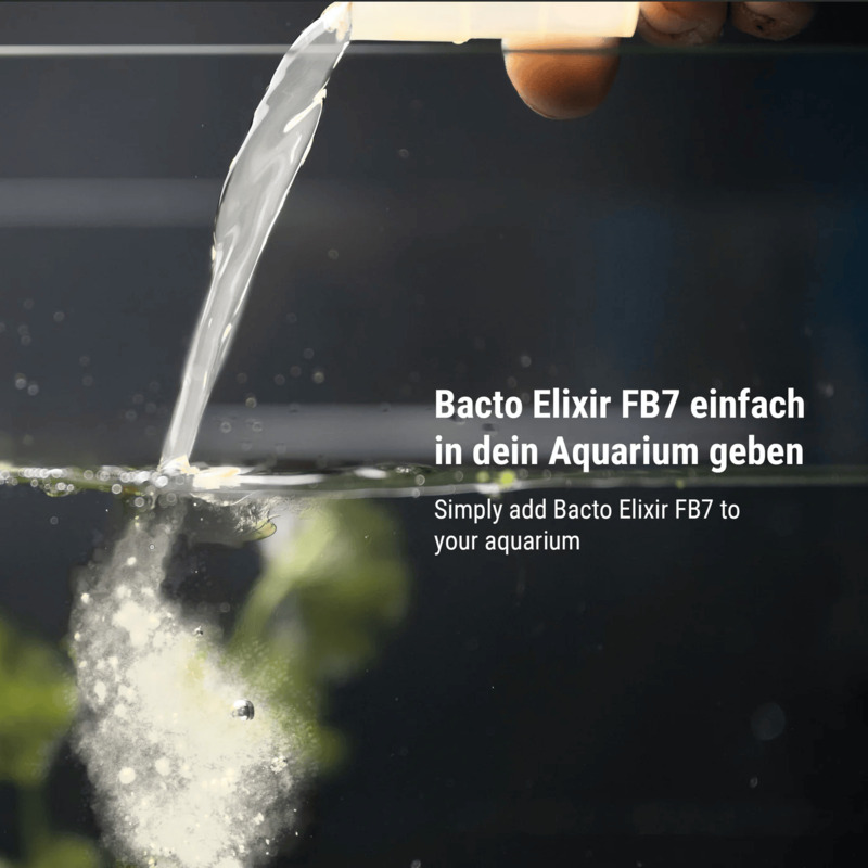 DENNERLE Bacto Elixier FB7 500ml - 2500 l