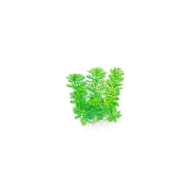 Tropica Hottonia palustris 1-2 Grow!