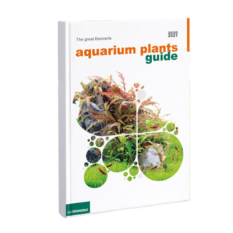 Tropica Leptodictyum 1-2 Grow!