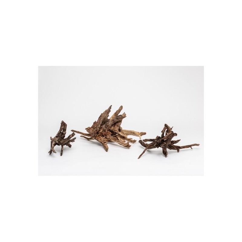 Kořen Black Slim Wood M 28-42 cm