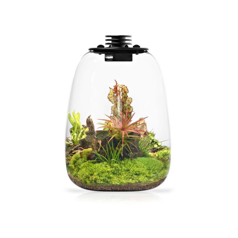 Bioloark BioBottle QD205