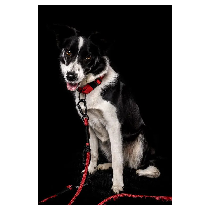 Tamer lanové vodítko Easy Long Twist - střední  pes, mix barev, 3 m - červené, modré a růžové