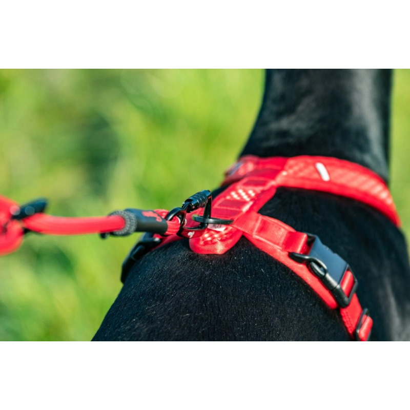 Tamer postroj Softy - růžový, velikost 6