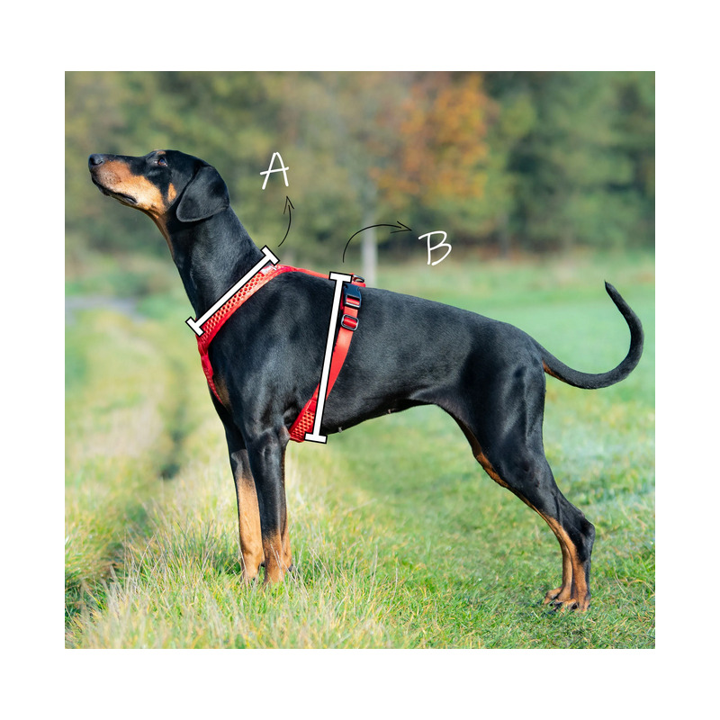 Tamer postroj Softy - růžový, velikost 6