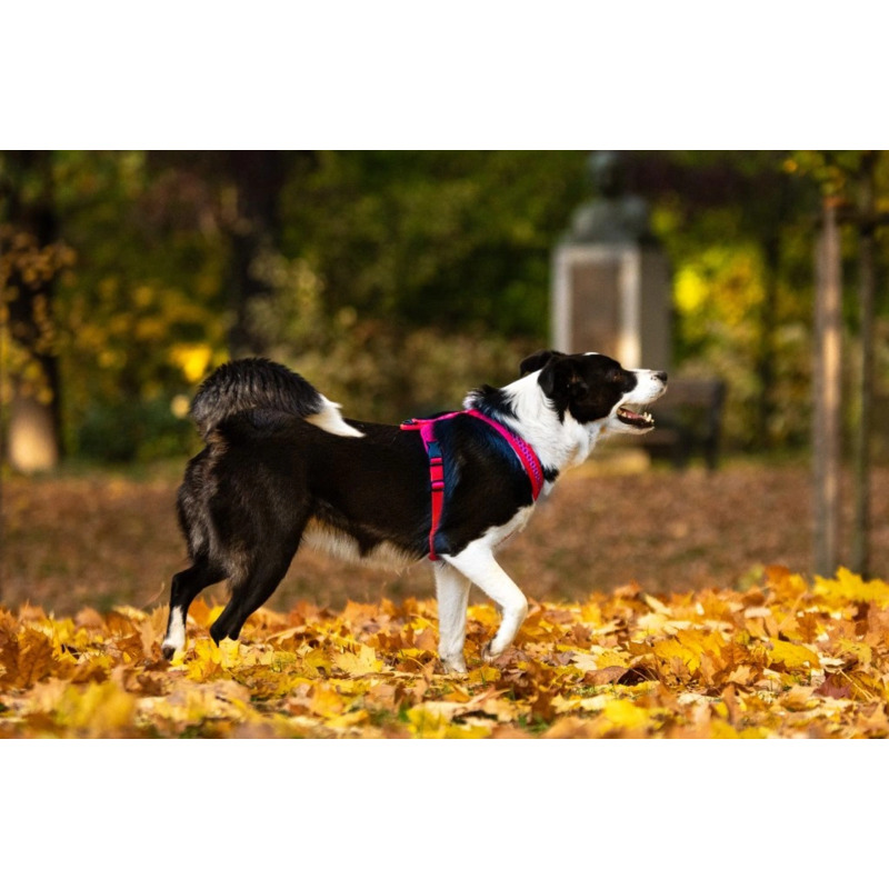 Tamer postroj Softy - růžový, velikost 7