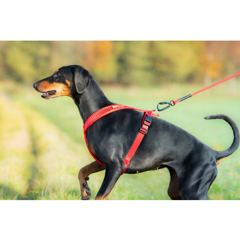 Tamer postroj Softy - růžový, velikost 7