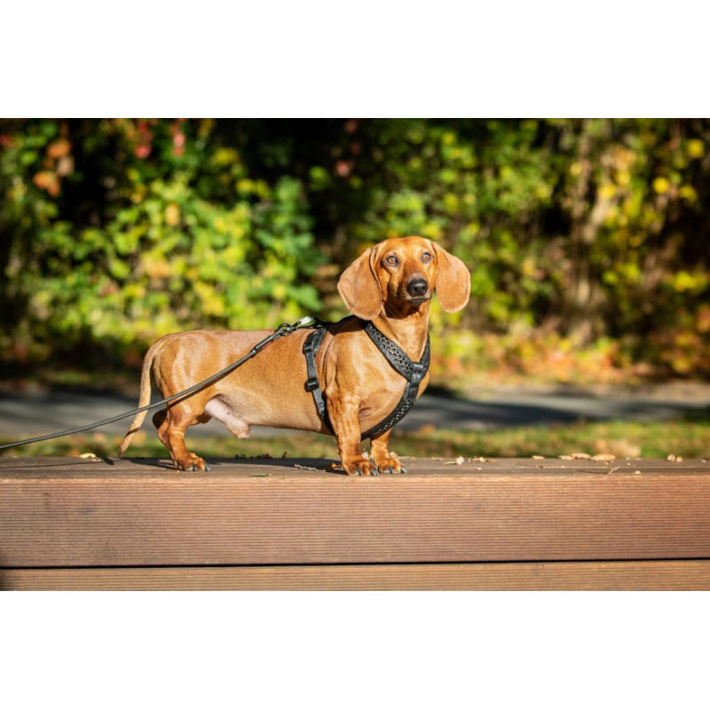 Tamer postroj Softy - růžový, velikost 7