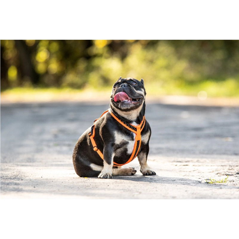 Tamer postroj Softy - růžový, velikost 8