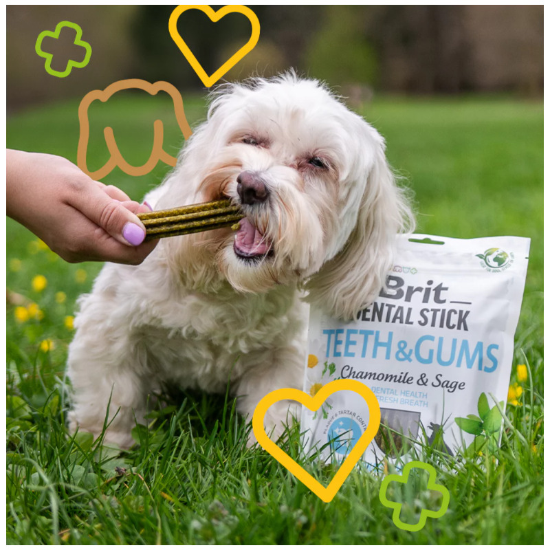 Brit Dental Stick Teeth & Gums with Chamomile & Sage 7 pcs 251 g 