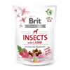 Brit Care Dog Crunchy Cracker Insects with Lamb enriched with Raspberries 200 g 