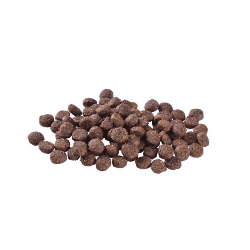 Brit Care Dog Sustainable Puppy 12 kg 