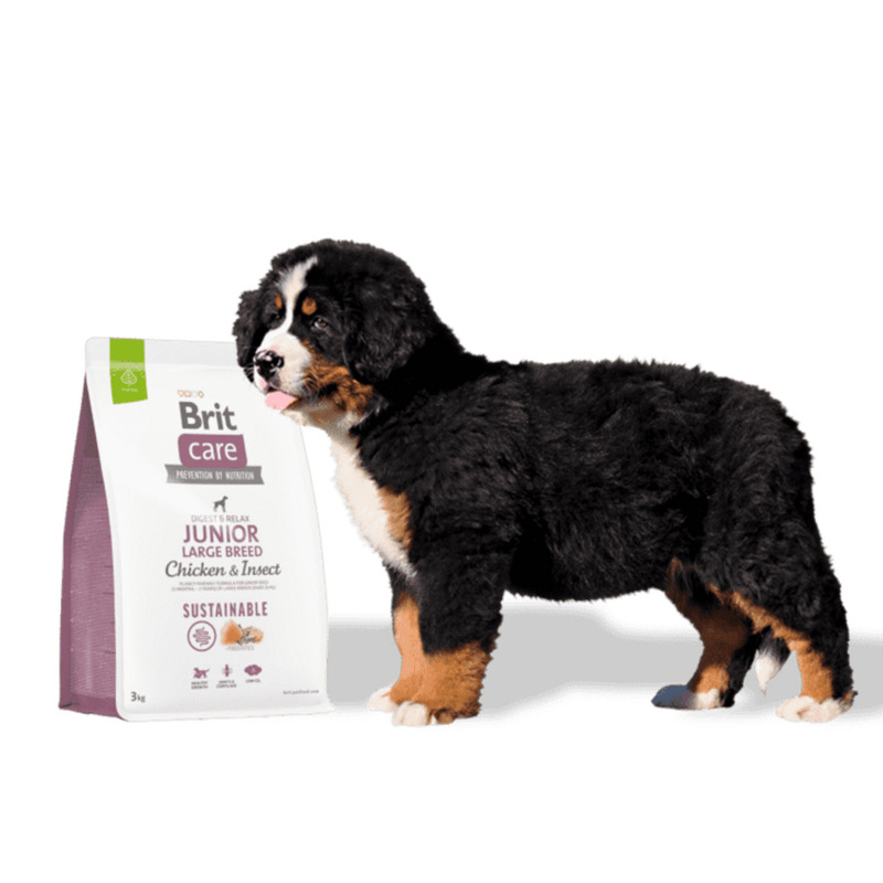 Brit Care Dog Sustainable Junior Large Breed 12 kg 