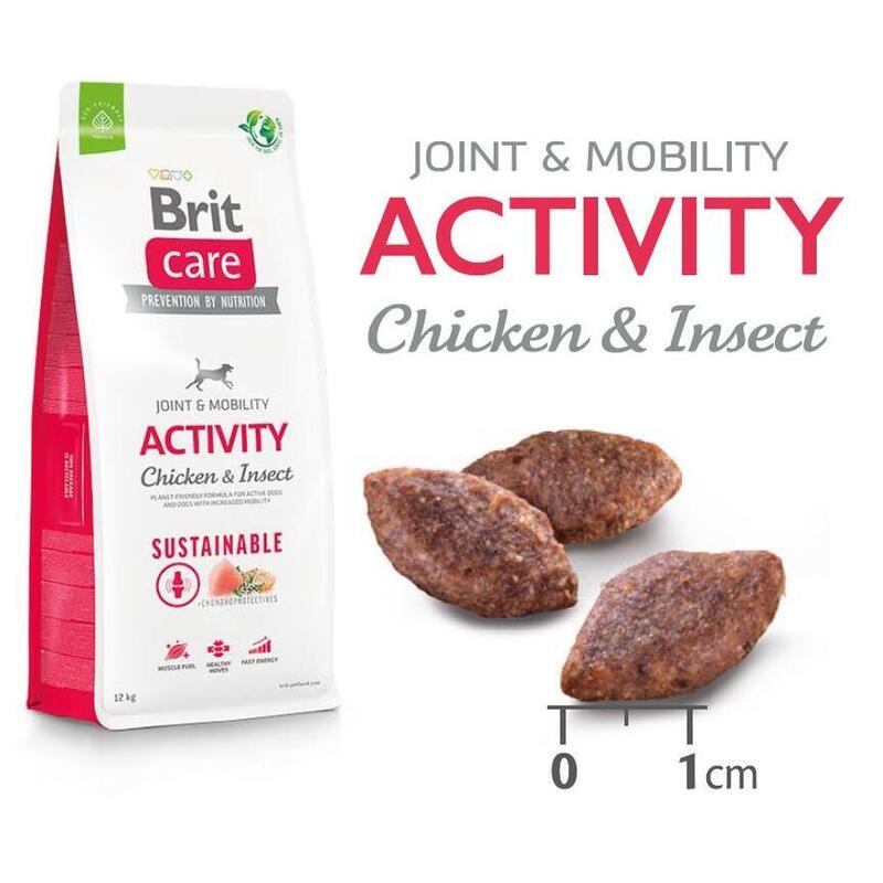 Brit Care Dog Sustainable Activity 12 kg 