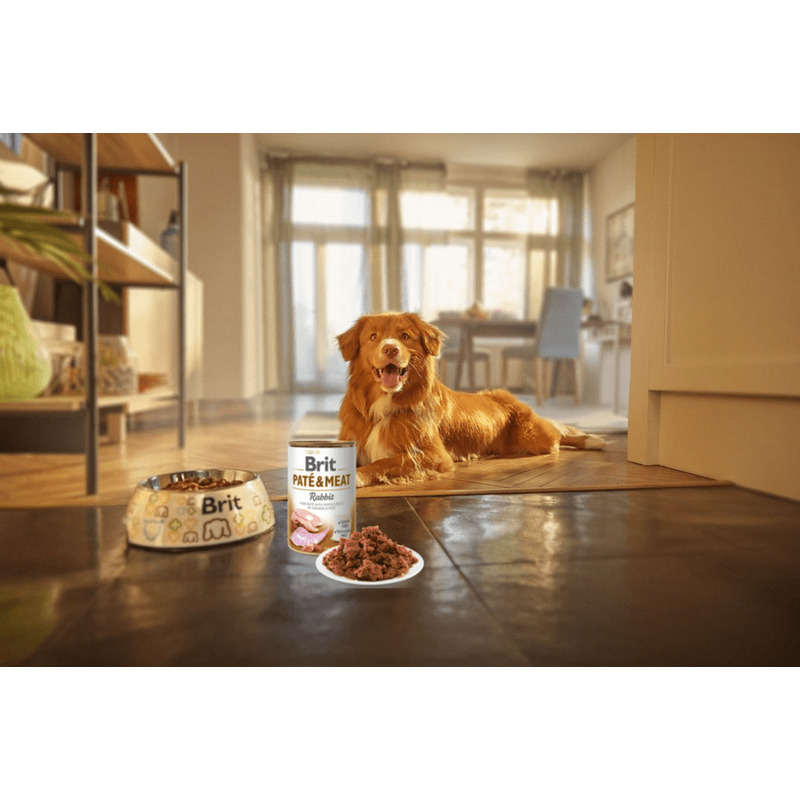 Brit Paté & Meat Dog Rabbit 400 g 