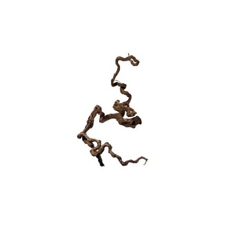 Kořen Winewood S 20-39 cm