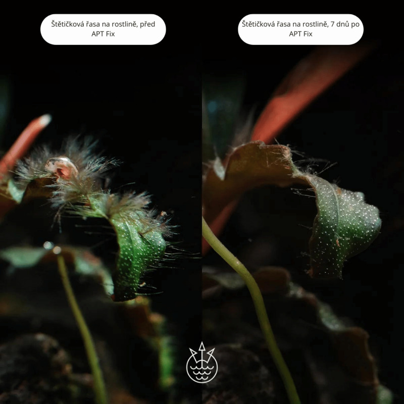 2Hr APTfl Fixlite 500 ml