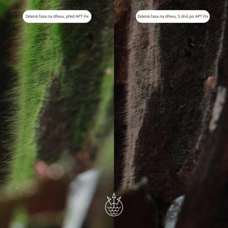 2Hr APTfl Fixlite 500 ml