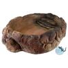 CeramicNature Terrarium bowls TP-06S
