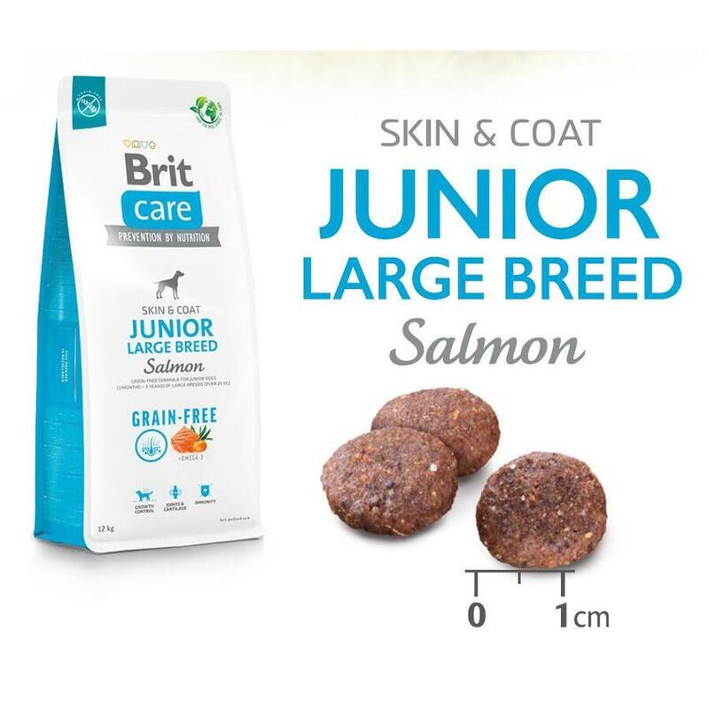Brit Care Dog Grain-free Junior Large Breed Salmon & Potato 3 kg