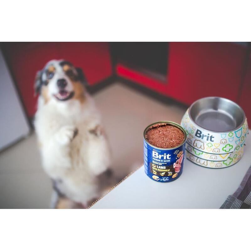 Brit Premium by Nature Chicken with Hearts 400 g