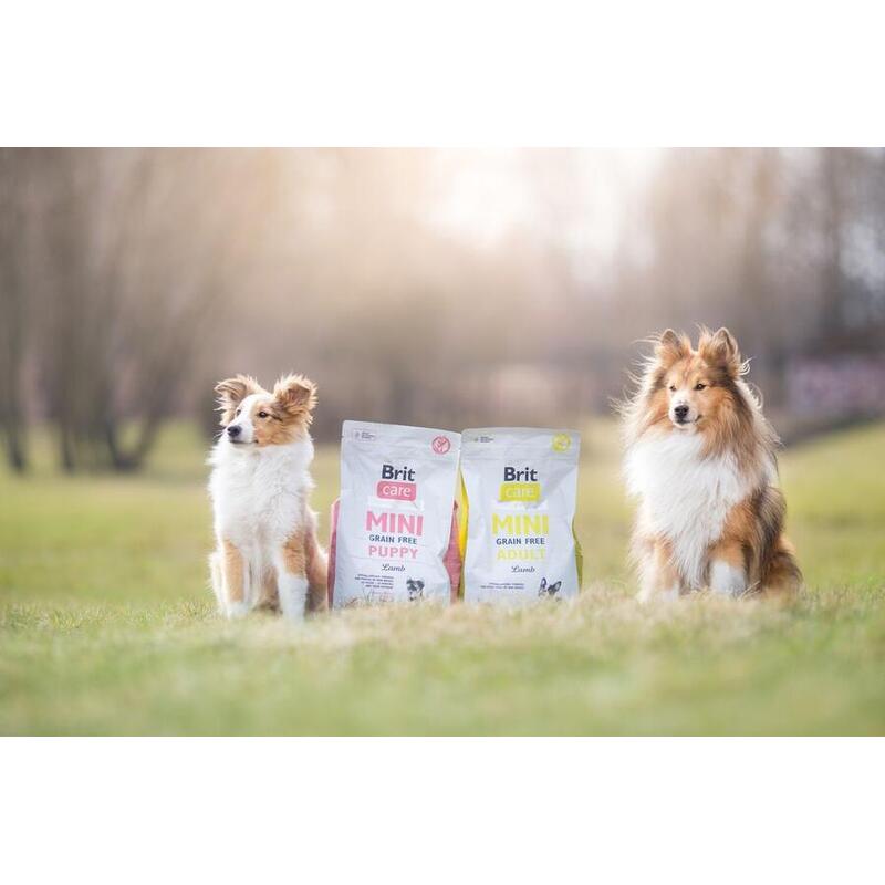 Brit Care Mini Grain Free Puppy Lamb 7 kg 
