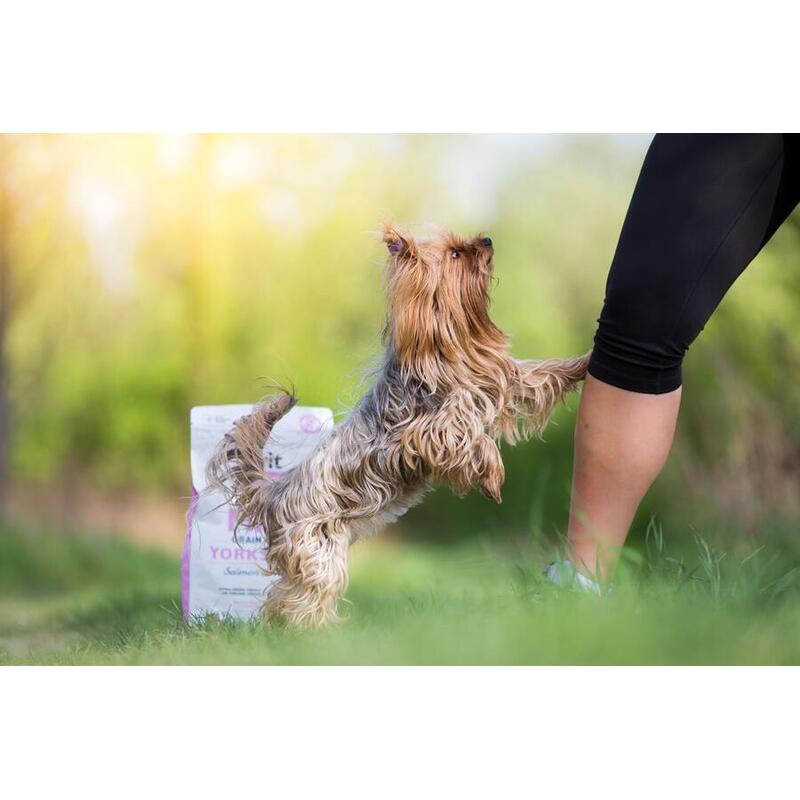 Brit Care Mini Grain Free Yorkshire 7 kg 