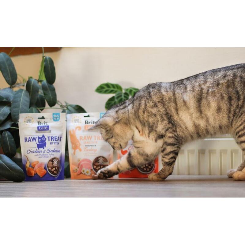 Brit Raw Treat Cat Sensitive 40 g 
