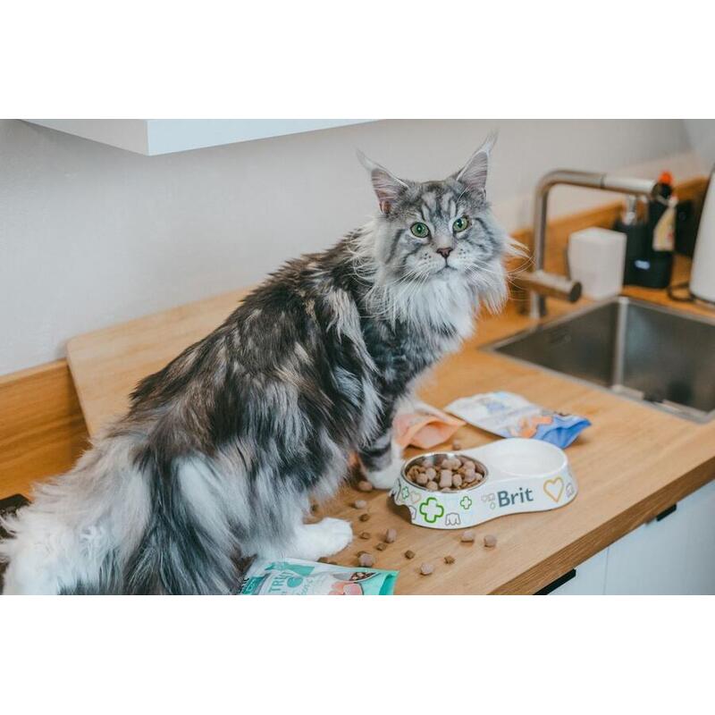 Brit Raw Treat Cat Sensitive 40 g 
