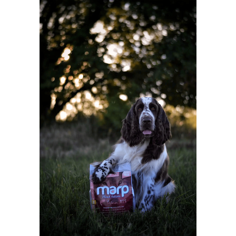 Marp Holistic Salmon - Lososové bez obilovin 2 kg