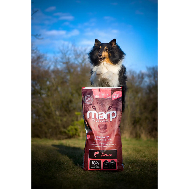 Marp Holistic Salmon - Lososové bez obilovin 12 kg