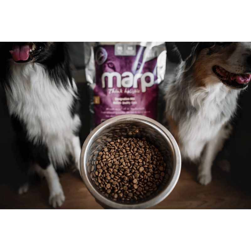 Marp Holistic White Mix SB - Pro malá plemena bez obilovin 12 kg