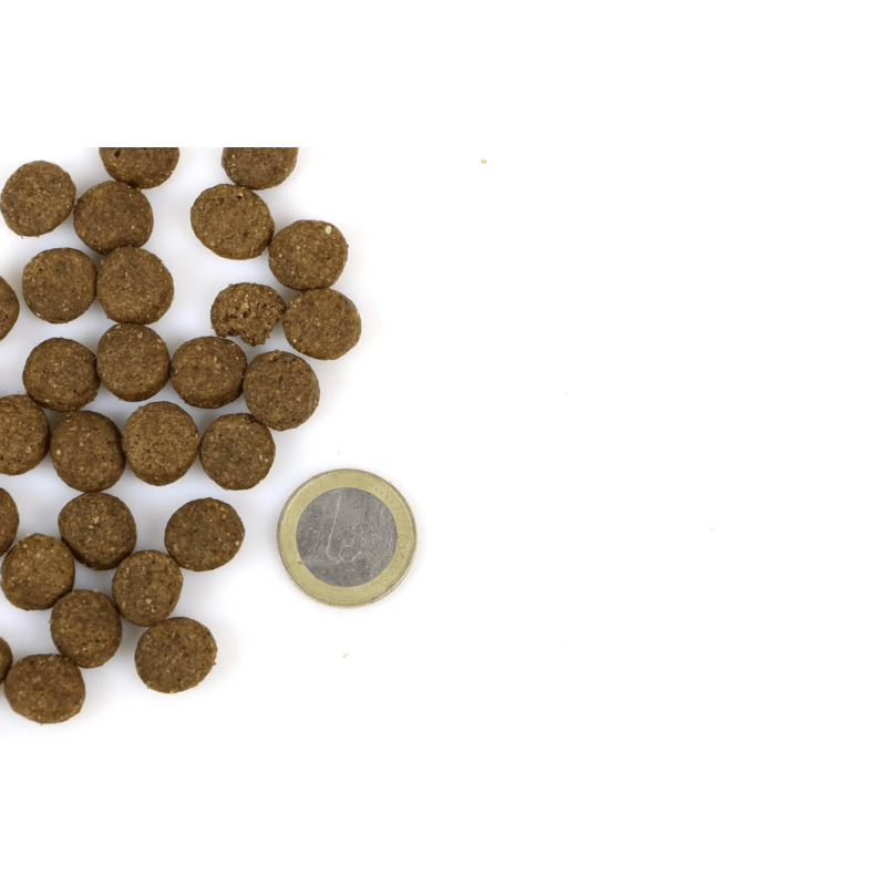 Marp Variety Blue River - Lososové 2kg