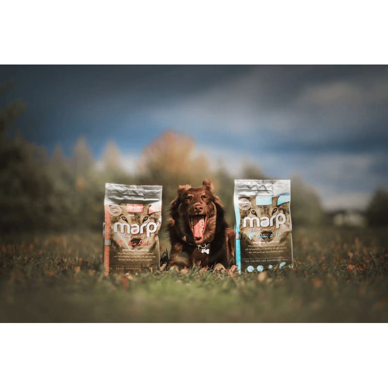 Marp Variety Blue River - Lososové 2kg