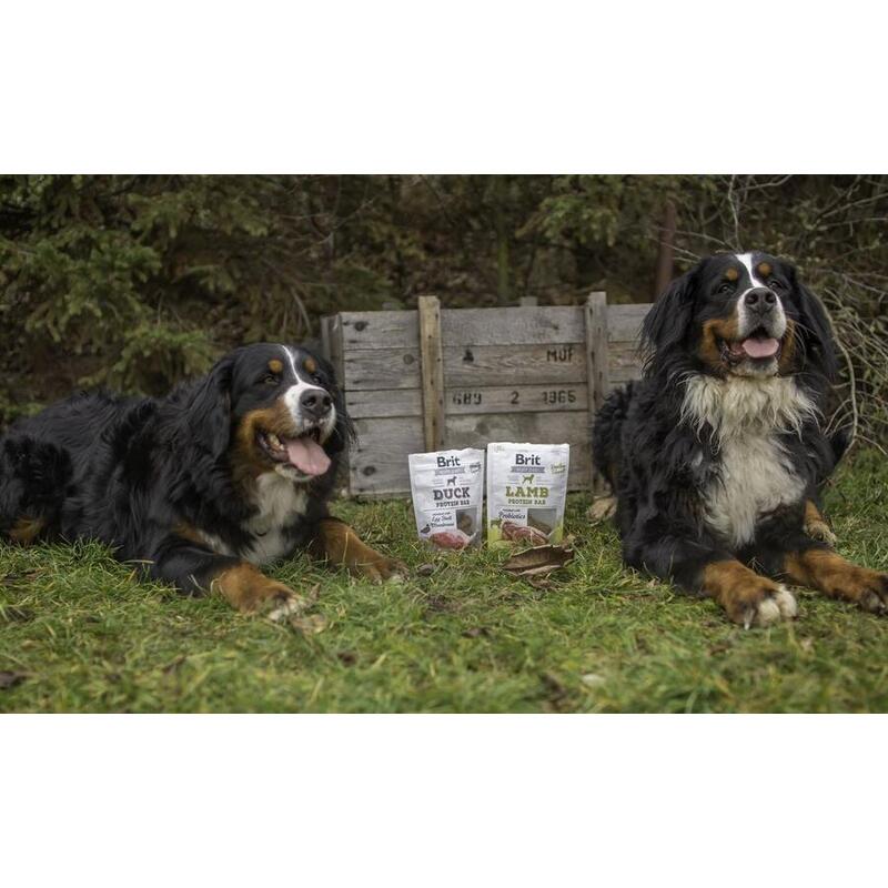 Brit Jerky Lamb Protein Bar 200 g 